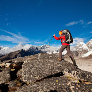 Optional image title goes here Optional image title goes here